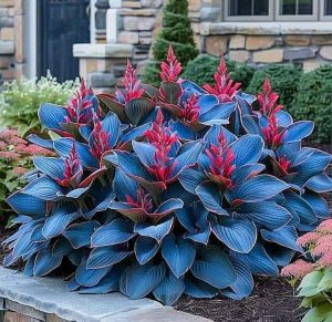 Хоста Грин Фог купить по цене от 669р. в интернет-магазине «Посадика» с доставкой почтой в в Лебедянье и по всей России – [изображение №1].