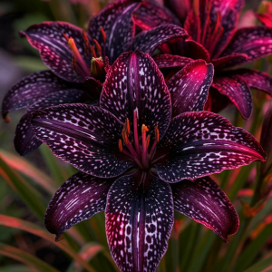 Лилейник Вояж купить по цене от 699р. в интернет-магазине «Посадика» с доставкой почтой в в Лебедянье и по всей России – [изображение №1].